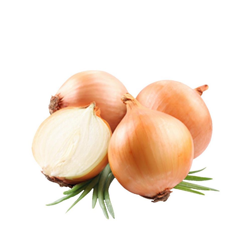 Изображение товара Лук Репчатый в Сетке