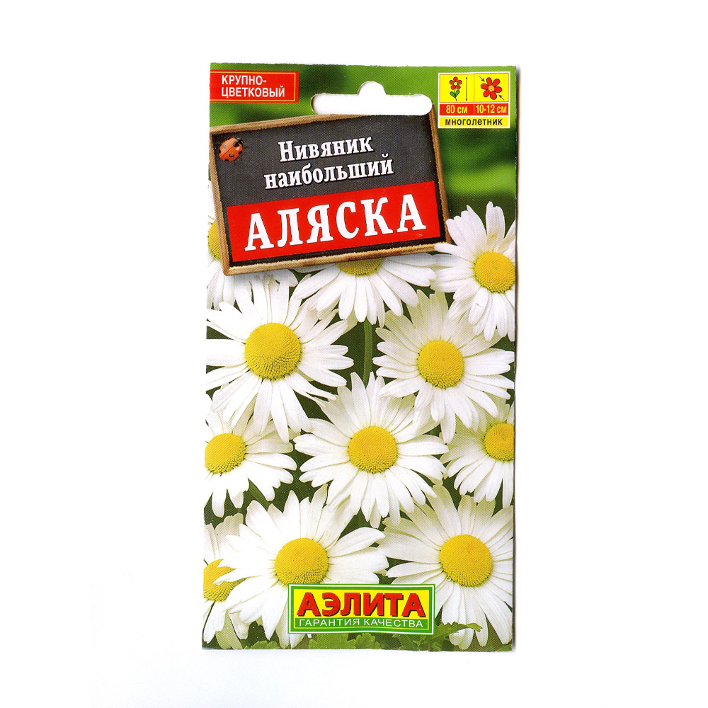 Нивяник Аляска