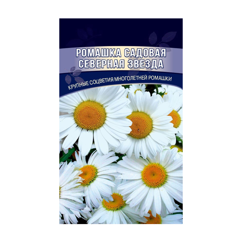 Купить семена северная звезда ромашка садовая 0,15г с доставкой на дом в  магазине SPAR