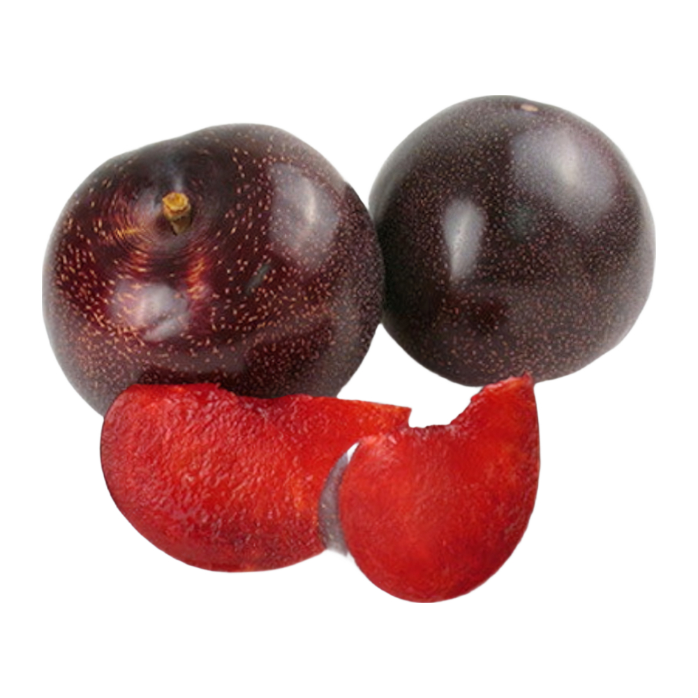 Изображение товара Слива Блэк Сплендор