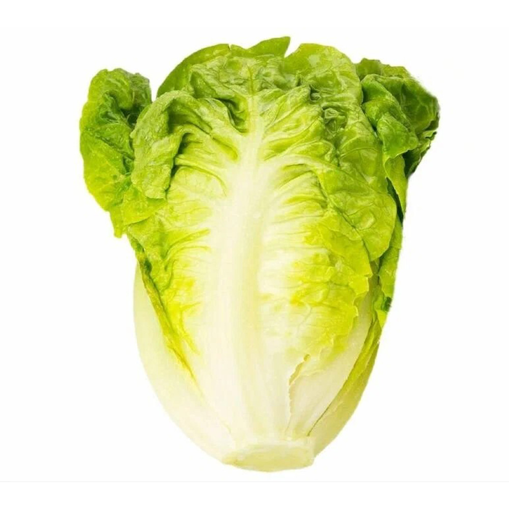 Изображение товара Салат Романо We Love Fresh 0.4 кг