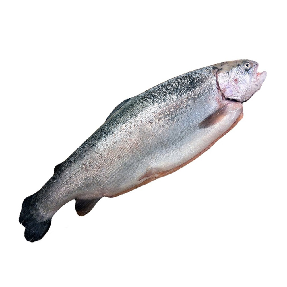 Изображение товара Форель Радужная с Головой Охлажденная 0,6-1,3кг