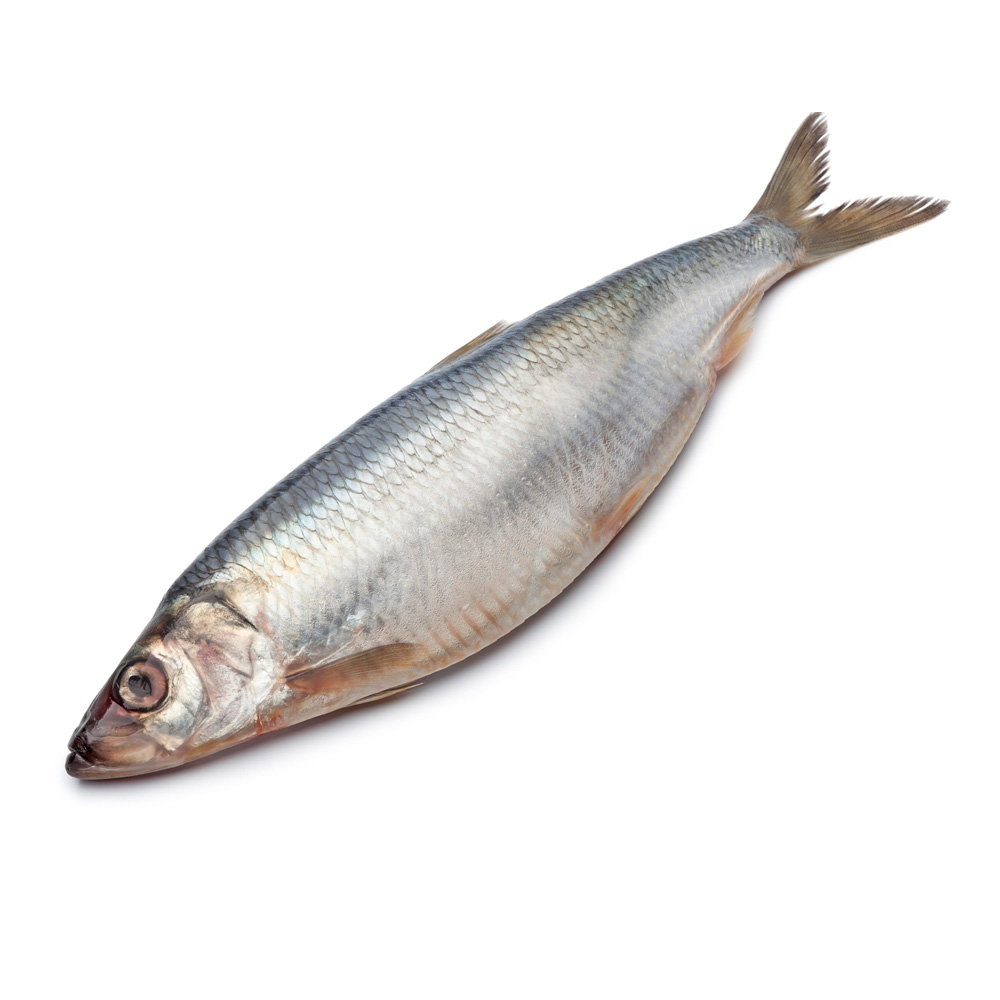 Изображение товара Сельдь Рыбное Дело Тихоокеанская Слабосоленая