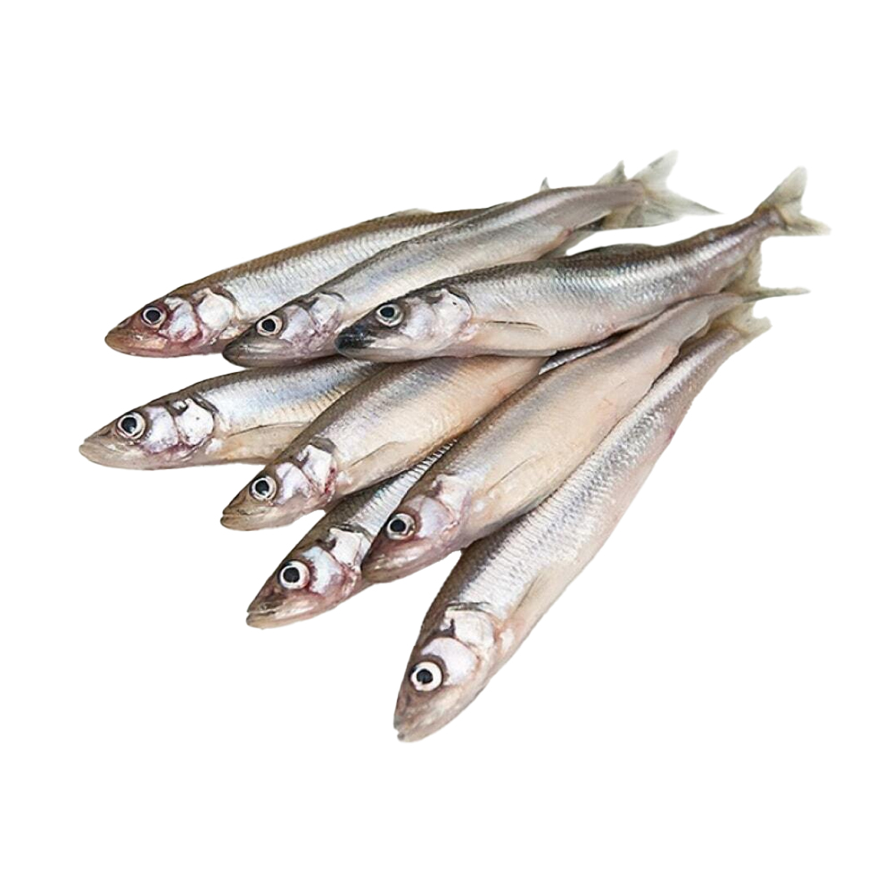 Изображение товара Мойва Свежемороженая Атлантическая