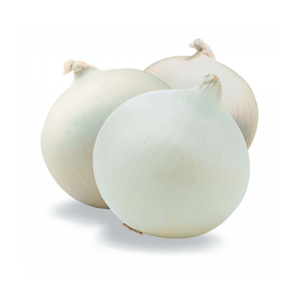 Изображение товара Лук Репчатый Белый